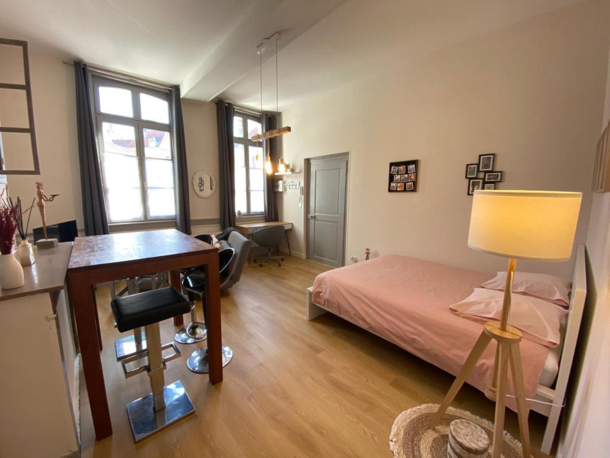Studio Papillon En Plein Coeur De Ville Сент-Омер Экстерьер фото